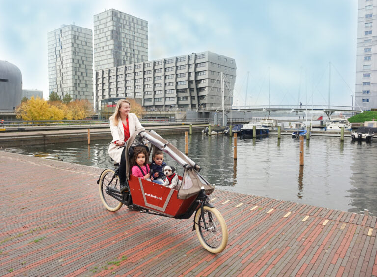 Bakfiets E-CargoBike Classic Long